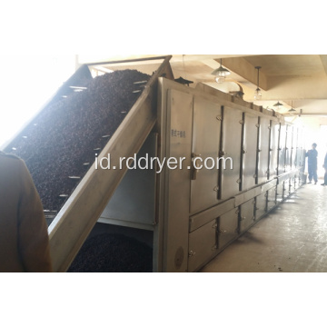 Cordyceps flower belt dryer